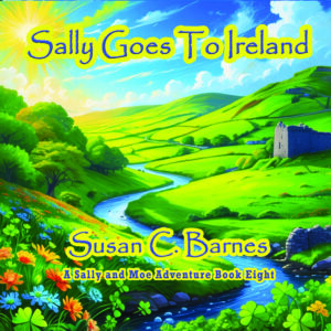 9781648834028-FrontMain-SallyIreland.jpg